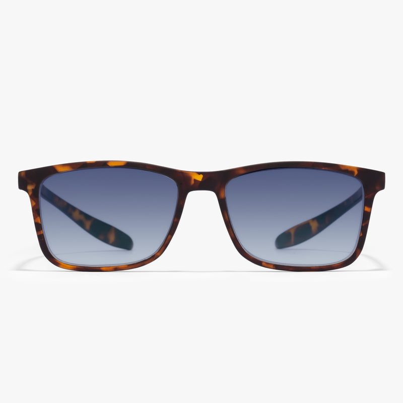 Leo | Havana brown sunglasses